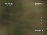 动物世界 《动物世界》 20130606 雄狮七兄弟（下）