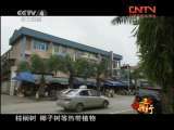 远方的家 《边疆行》第12集 滇南明珠河口《远方的家》20110726