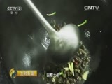 生财有道 《生财有道》 20160225 生态中国系列（古村古镇行）——走进苏州东山镇