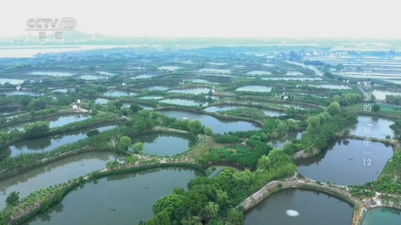地理中国 《地理·中国》 20260725 村寨里的“秘密”12