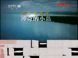 地理中国 《地理中国》 20110920 碧海红树