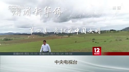 见证 《见证》 20200424 澜湄新华侨 第三集 吴哥的微笑