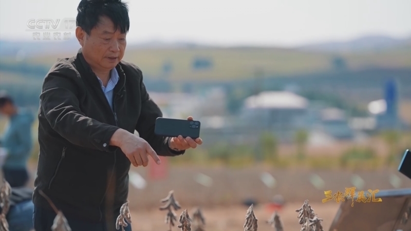 《三农群英汇》 20251222 院士田间大课堂——油料院士的新征程