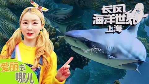 爱丽去哪儿 上海长风海洋世界