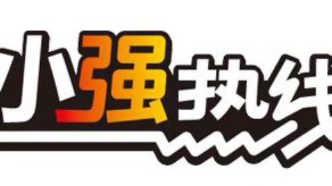 小强热线 小强热线20141212