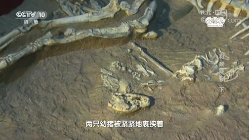 地理中国 《地理中国》 20181018 和政疑骨（下）