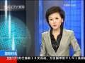国际时讯 【金融危机一周年】[短评] 金融监管:“大象管蚂蚁”的游戏