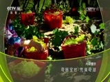 地理中国 《地理中国》 20170708 奇居宝地·荒漠奇湖