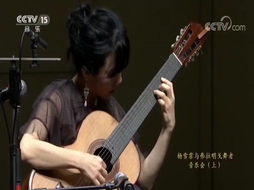 CCTV音乐厅 《CCTV音乐厅》 20181015 “霏舞西班牙”杨雪霏与弗拉明戈舞者音乐会（上）