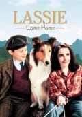 灵犬莱西 1943年版 海报