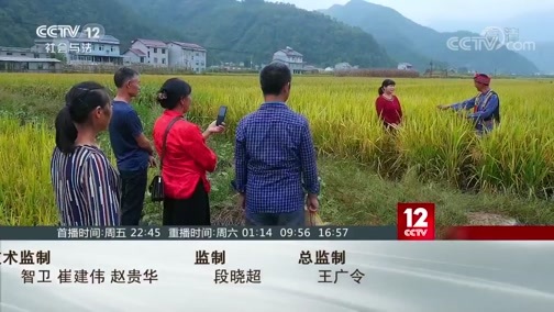 见证 《见证》 20200131 见证长阳（一） 底色