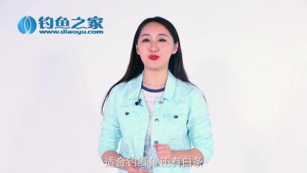 钓鱼很简单 不同钩型对应的钓法