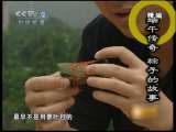 地球密码（周末精编节目） 周末精编节目 2010年 第143期