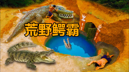 僻静村落里，突然出现一“鳄霸”，究竟是怎么回事？