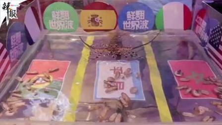 足球大虾瞎操心 预测葡萄牙摩洛哥平局