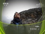 地理中国 《地理中国》 20180613 雪域奇湖（上）