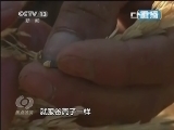 焦点访谈 《焦点访谈》 20130806 高温不退 旱情加剧/谁拐走了我的孩子