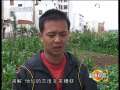 道德观察 180元的赡养费
