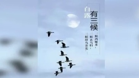 说天下 今日白露 “露从今夜白”全年温差最大的节气来了