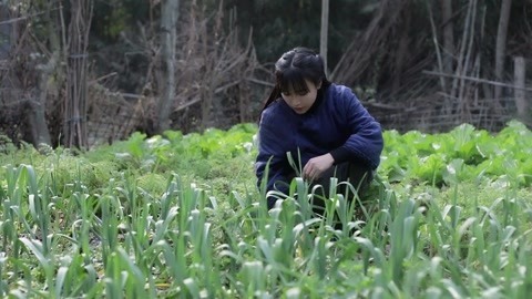 李子柒古香古食 一碗腊八粥，暖心又暖胃