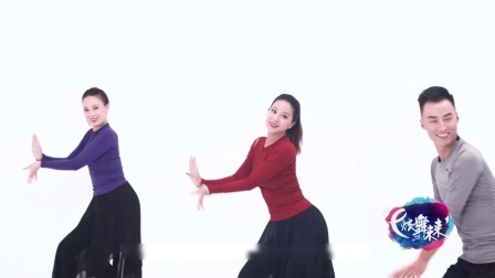 蝴蝶飞飞-饶子龙（导视）