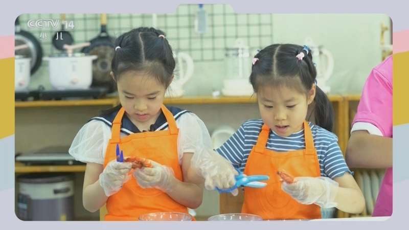 智慧树 《智慧树》 20240812