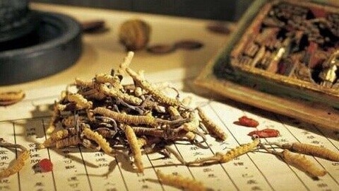 美食搜通街之正确泡药酒