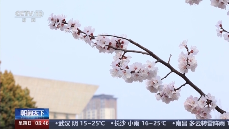 《朝闻天下》 20260405 08:00