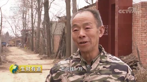 生财有道 《生财有道》 20190227 美味中国系列——河南陕州：特色风味多样财