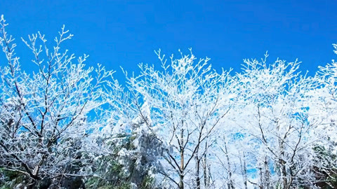 红绿灯20210130