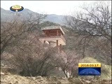 西藏新闻联播 《西藏新闻联播》 20160317