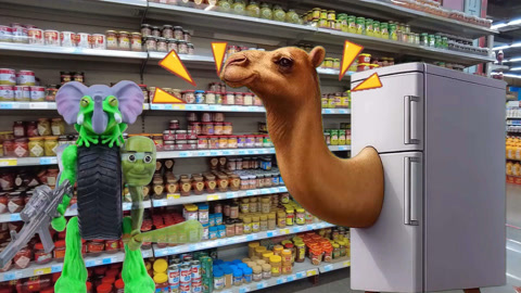 冰箱骆驼扭蛋机