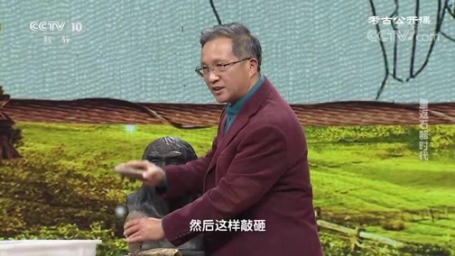 考古公开课 《考古公开课》 20200329 重返石器时代