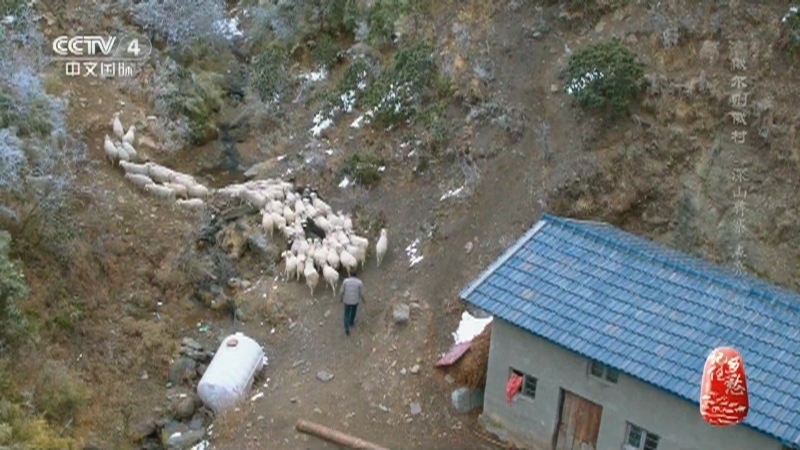 记住乡愁第八季 《记住乡愁》第八季 20220315 俄尔则俄村——深山彝寨 点亮心灯