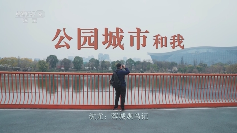 《公园城市和我》 第5集 沈尤：蓉城观鸟记