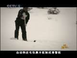 中国冰雪记忆 第1集 砺冰之旅