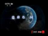地理中国 地理中国 2011年 第81期 探秘千年牡蛎礁