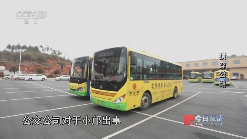 今日说法 《今日说法》 20240602 横穿公路