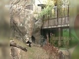 新闻袋袋裤 《新闻袋袋裤》 20170223