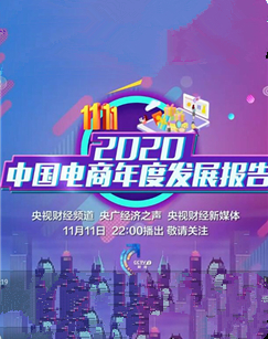 2020中国电商年度发展报告