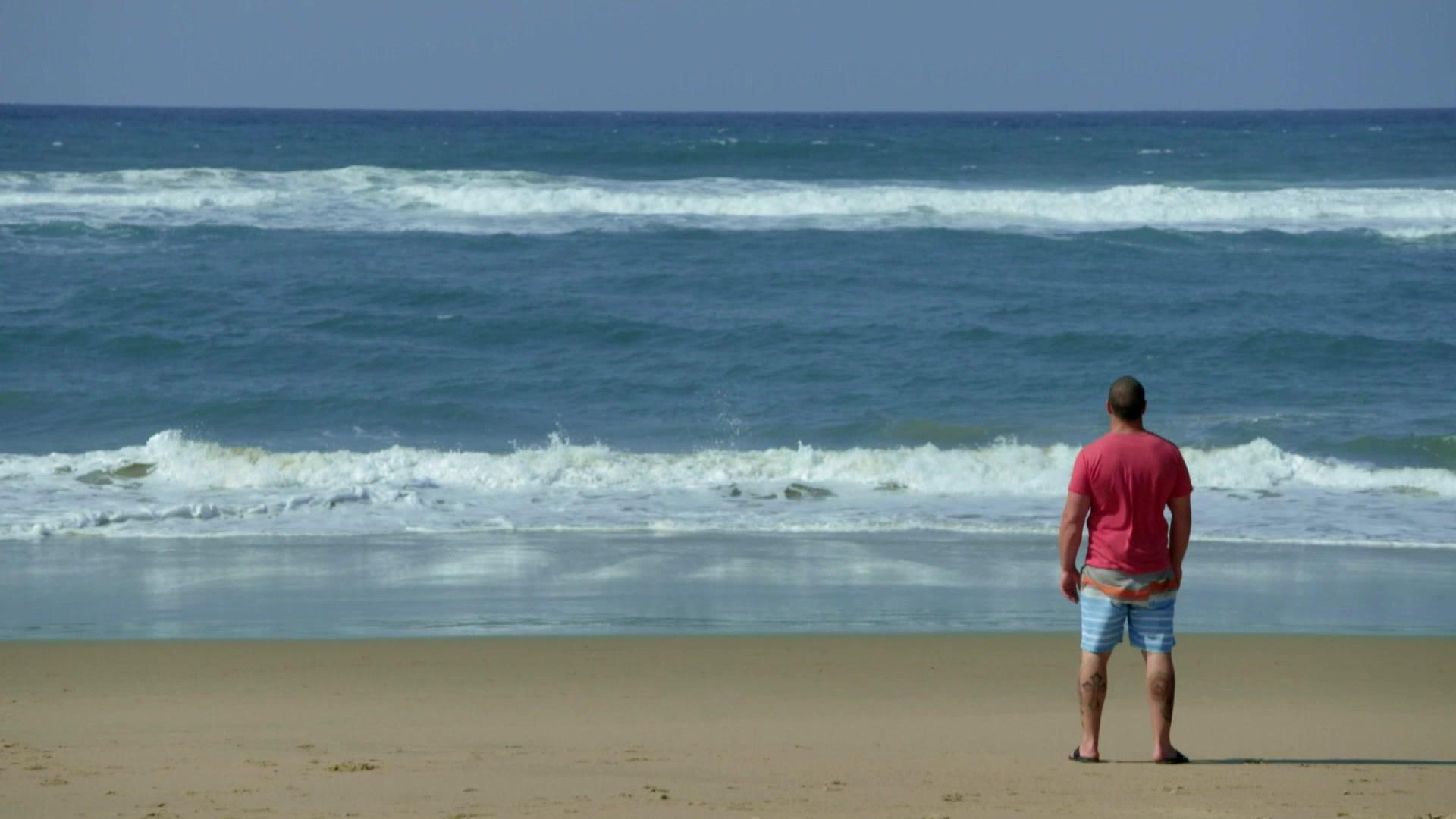 直击鲨鱼攻击第四季 第1集