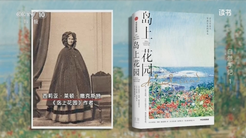 读书 《读书》 20260717 西莉亚·莱顿·撒克斯特 《岛上花园》 自然手记1