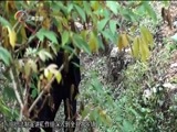 情暖人间 《情暖人间》 20170109 筑梦云南影像志 普法走边关 为民办实事