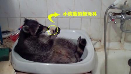 聊斋怪谈 小浣熊自己洗澡可是肥皂太滑拿不稳