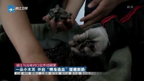 浙江新闻联播 一朵小木耳开启“精准造血”援建新路