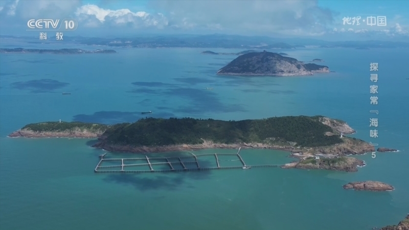 《地理·中国》 20260515 探寻家常“海味”5