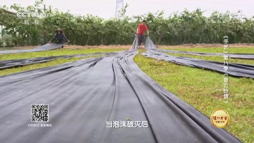 探索发现 《探索发现》 20181206 手艺 第八季 香云纱情