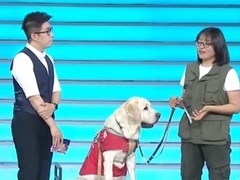 非你莫属2023 “大饼”秀翻全场 国际导盲师讲述经历