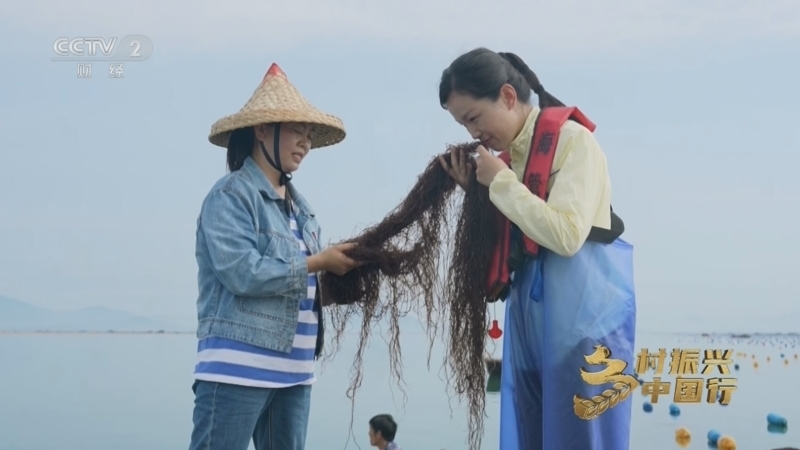 乡村振兴中国行第四季 《乡村振兴中国行》第四季 20250515 深耕蓝色沃土 收获海上粮仓