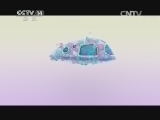 智慧树 《智慧树》 20140730